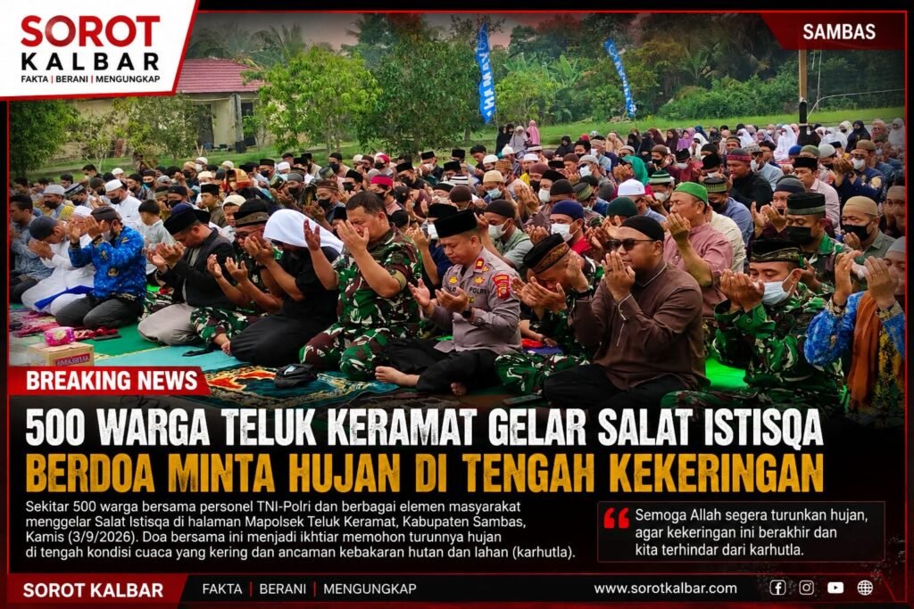 WhatsApp Image 2026-09-05 at 00.37.58