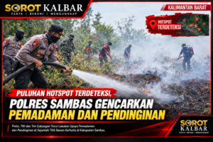 file_00000000bb408211a26d5becf34aa936